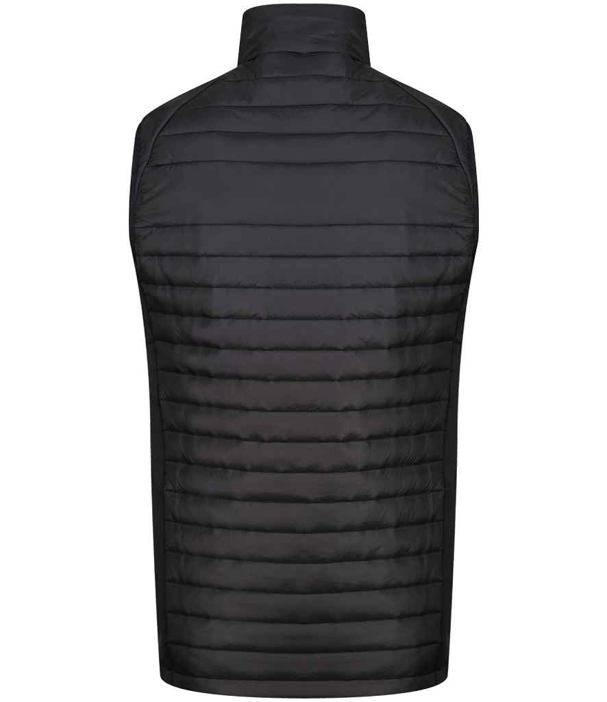 RG447 Black/New Royal Blue Back